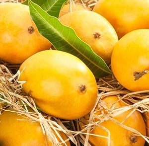 Alphonso mango online
