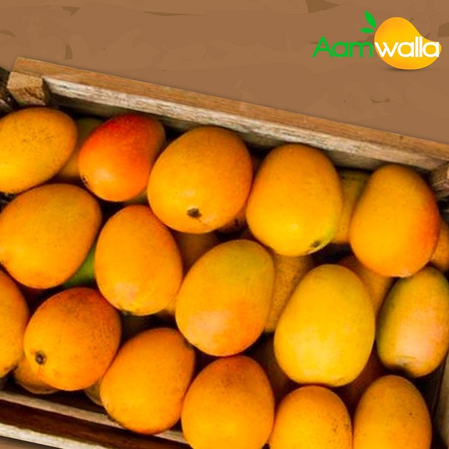mango home delivery near me, real devgad mangoes, alphonso mango online,