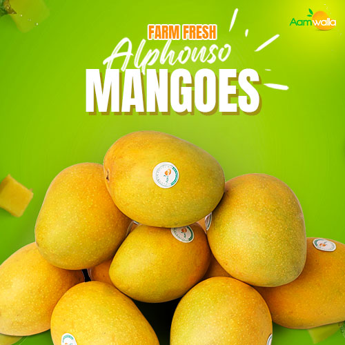 Farm Fresh Alphonso Mangoes
