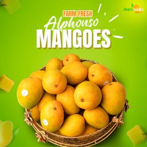 alphonso mangoes,