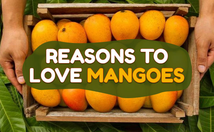 buy alphonso mango online, buy mangoes online,