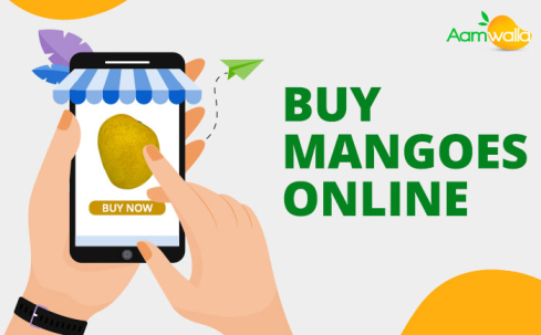 buy mangoes online, order alphonso mango online,