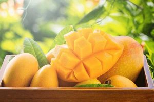 mangoes benefits, organic alphonso mangoes, 