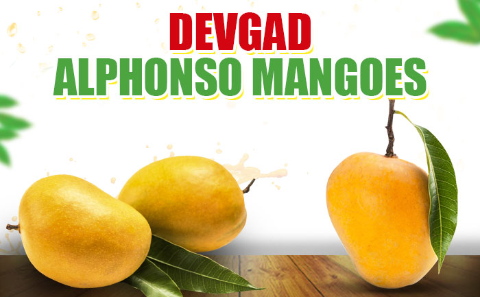 devgad mangoes, hapus mangoes, mangoes online in india,