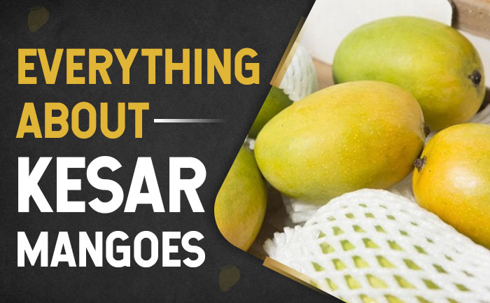 kesar mangoes, buy mangoes in india,