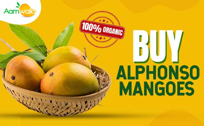 order alphonso mango online, devgad mangoes online,