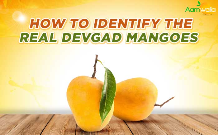 devgad mangoes, Mangoes order online