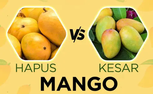 alphonso mangoes, kesar mangoes, hapus mangoes, alphonso mangoes,