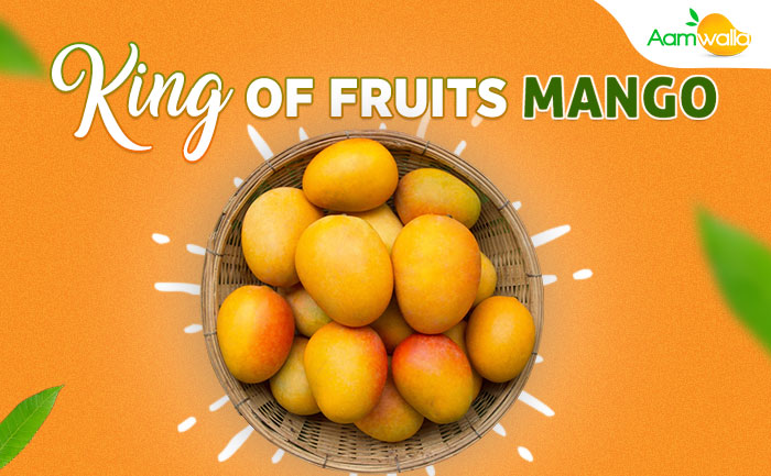 king of fruits mangoes,