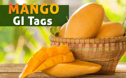 Mango GI Tags, buy mangoes online, order mangoes online,