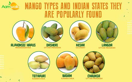 mango types, aamwalla, buy mangoes online,
