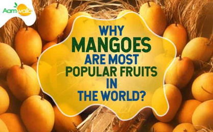aamwalla, buy mangoes online, order mangoes online, buy alphonso mangoes online