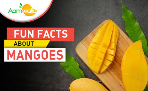 aamwalla, buy mangoes online, order mangoes online, buy alphonso mangoes online