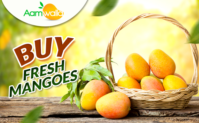 buy fresh mangoes,